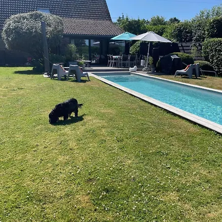 Le Calme Sur Les Hauteurs De לינה וארוחת בוקר