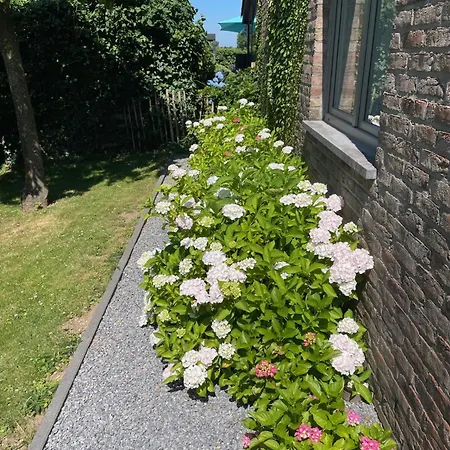 Nocleg ze śniadaniem Le Calme Sur Les Hauteurs De Tiege